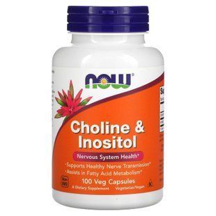 Холін і інозитол, Choline Inositol, Now Foods, 500 мг, 100 вегетаріанських капсул NOW-00470 фото